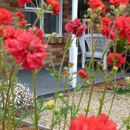 Hazelcreek Cottages Exeter Extérieur photo