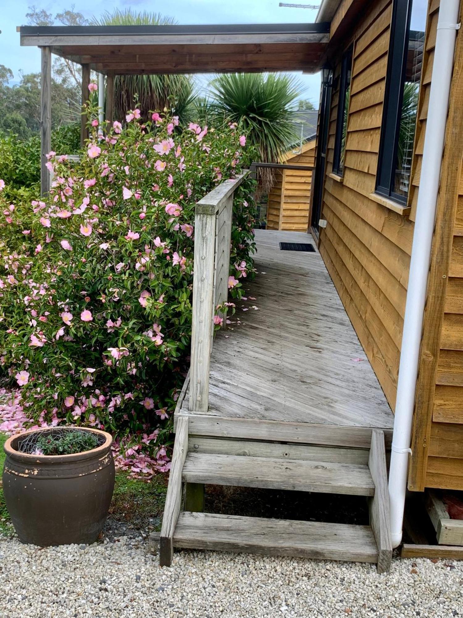 Hazelcreek Cottages Exeter Extérieur photo