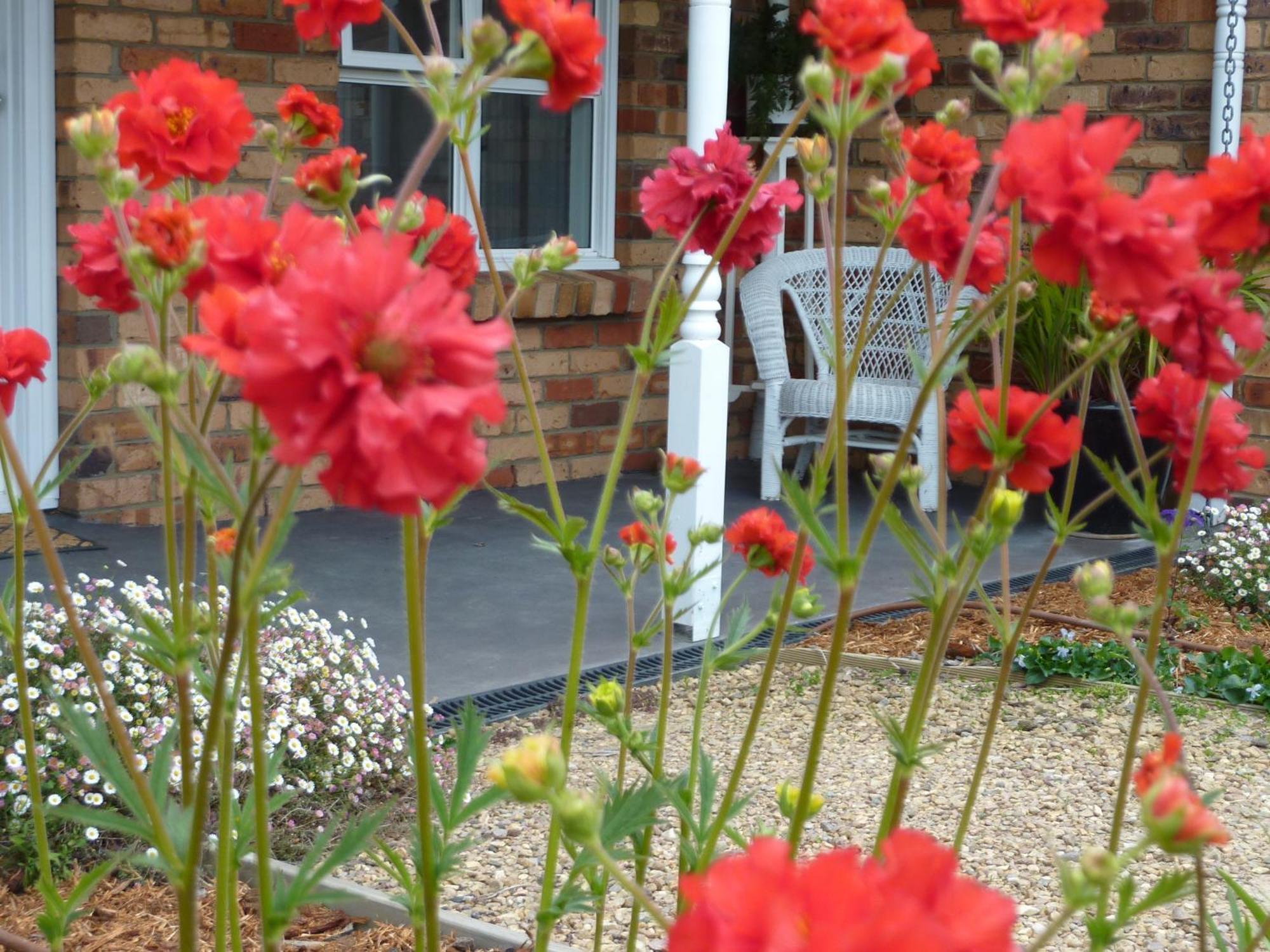 Hazelcreek Cottages Exeter Extérieur photo